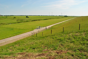 Fototapeta premium Felder in Ostfriesland