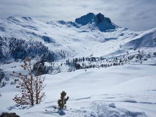 French alps