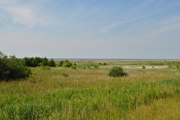 Felder in Ostfriesland