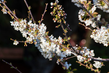 How nice the beginning of spring!