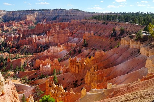 Bryce Canyon National Park overlook