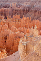 Bryce Canyon National Park, Utah. 