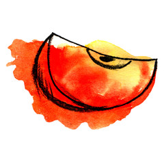 slice of watercolor yellow-red apple sketch