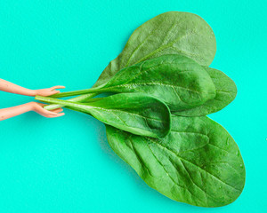 spinach petals, fresh green vegetables grass microgreen
Menu concept, food background, keto or paleo diet. top view. copy space for text