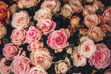 bouquet of pink roses