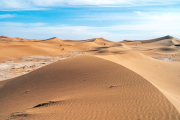 Fototapeta na wymiar Beautiful landscape of sand dunes and camels on Sahara Desert, Africa