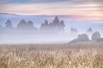 Obraz premium Paisaje del parque natural de la Serra del Cadi (Cataluña, España).