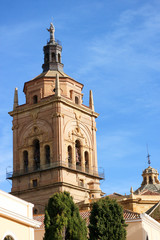Fototapeta na wymiar Bell tower of Guadix cathedral of the Incarnation, Granada, Spain surrounded by green trees