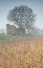 Árbol aislado al lado de muro en ruinas entre campos y bruma.