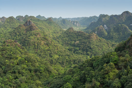 Cat Ba National Park, Cat Ba Island, Vietnam