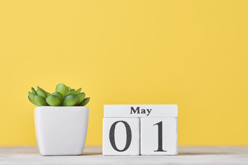 Wooden block calendar with date May 1 and succulent plant in the pot on yellow background. Labor...