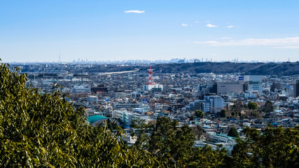 飯能市 天覧山からの眺め