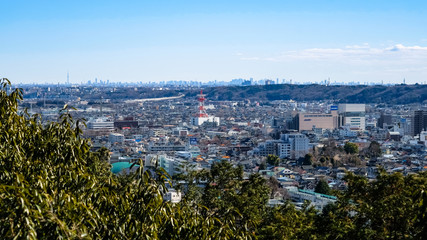 飯能市 天覧山からの眺め