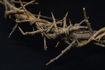 close up of Easter crown of thorns on black