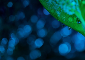 Drops of water on a blue blurred background. Beautiful bokeh, close-up. Flat lay, copy space.