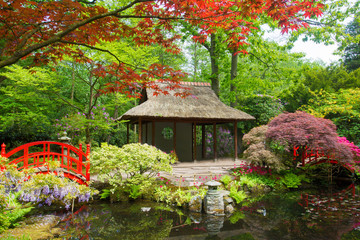 Fototapeta na wymiar Amazing view on authentical pavilion in japanese garden in the Hague