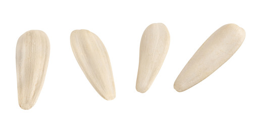 white sunflower seeds isolated on white