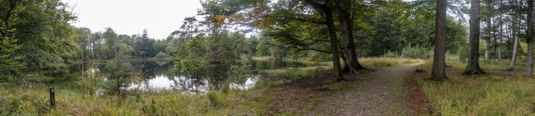 A wide panorama of a piece of forest with a forest path just along the water