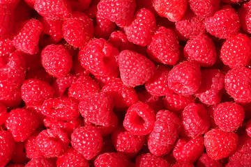 Raspberry. Bright natural delicious background of many ripe juicy raspberry berries