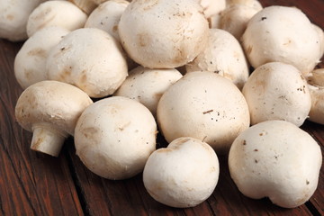 Common mushrooms. Agaricus bisporus.