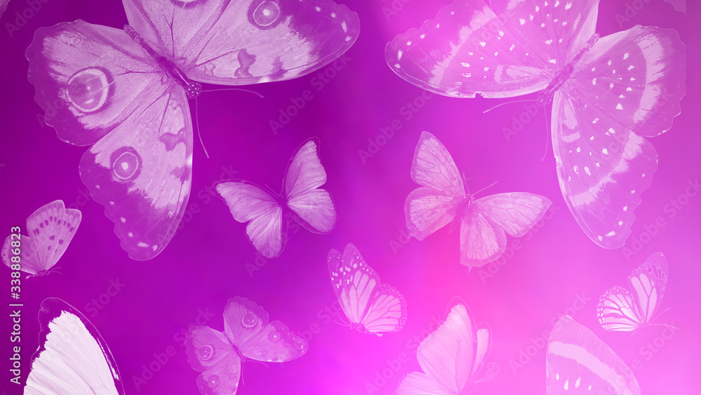 Poster beautiful gradient background with butterflies and highlights