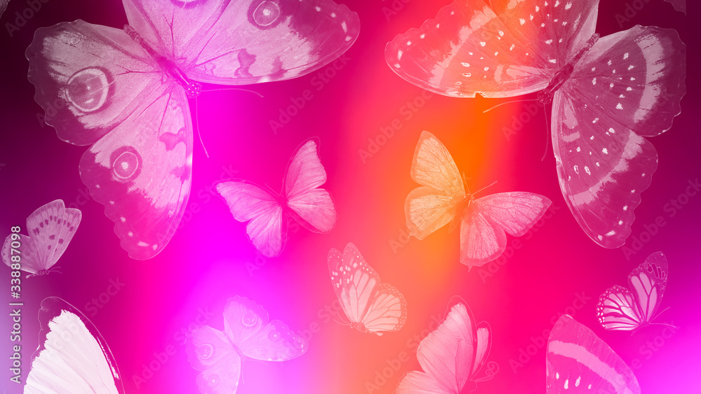 Poster Beautiful gradient background with butterflies and highlights