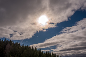 Scene bottom view of blue sky, sunshine, trees and trail white smoke. Nature in daytime.