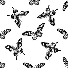 Seamless pattern with black and white african giant swallowtail, papilio torquatus