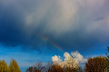 Rain cloud, rain and rainbow on a background of white clouds and trees.