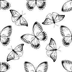 Seamless pattern with black and white great orange-tip, jungle queens