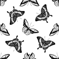 Seamless pattern with black and white wallace's golden birdwing, emerald swallowtail, swallowtail butterfly