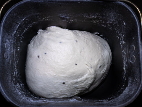 Bread Dough With Spices, Coriander Cumin Seeds, In Bread Maker Machine Dispenser. Just Mixed Fresh White Home Made Bread Pizza Pastry Duff Close-up On Dark Background 