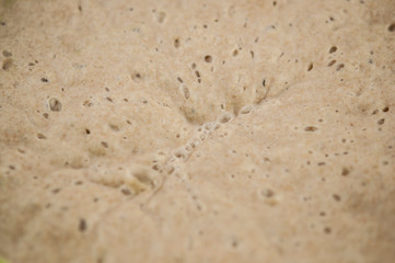 bread starter. Close up shot of bread dough texture. Air Bubbles from fermentation.