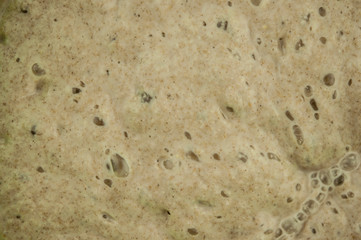 bread starter. Close up shot of bread dough texture. Air Bubbles from fermentation.