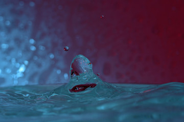 GOTA DE AGUA