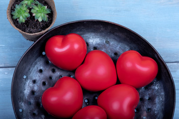 Six red plastic hearts in a metal plate and succulent plant in a gardening pot from above on a blue wooden background Selective focus