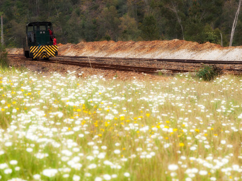 Una antigua locomotora avanza por la v&iacute;a entre flores de primavera en Riotinto