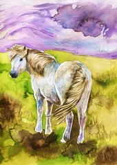 Papier Peint photo Inspiration picturale illustration à l& 39 aquarelle représentant un poney blanc au sein de la nature dans un paysage montagneux.