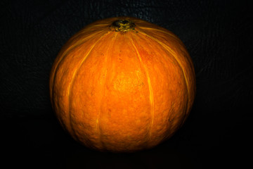 Macro of pumpkin peel