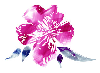 Flower on white background. Acrylic illustration. - 338894628