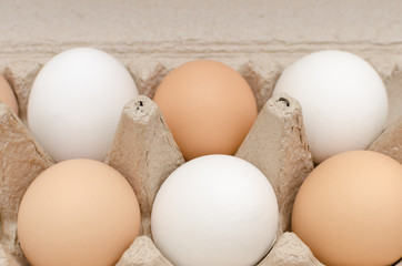white and beige eggs in a cardboard box on a light background