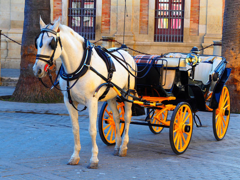 View of a horse and a carriage in Seville, Spain.