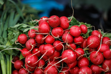 Shallow depth of field (selective focus) image with radishes on sale in a vegetables street stall.