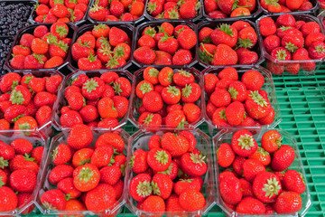 Strawberry seasonal berries on the market in plactic containers