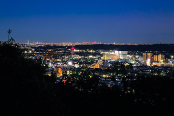 飯能市 天覧山からの眺め 夜景