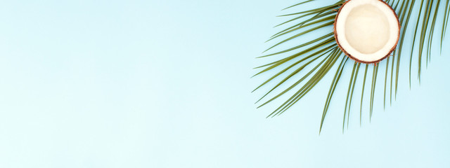 Tropical banner for the site with palm branches and coconuts.