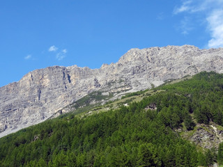 Fototapeta na wymiar Mountain without snow partially covered by a forest against clear blue sky in summer