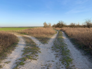 The road through the field against the blue sky. The path to the village passes near the forest in the meadow. Traces of cars and carts on the ground. Crossroad 