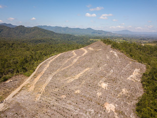 Deforestation in Indonesia Aerial Photo Sumatra Farm Palm Oil