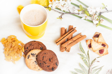 Morning breakfast. Cup of cappuccino, cookies with chocolate, cinnamon stick. and grape raisin on the white.background and spring flowers.